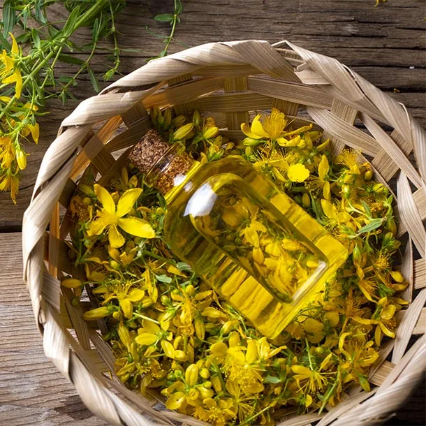 L'aromathérapie utilise la quintessence aromatique des plantes.