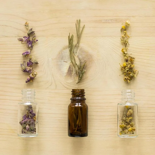 Comment utiliser les fleurs de Bach ?