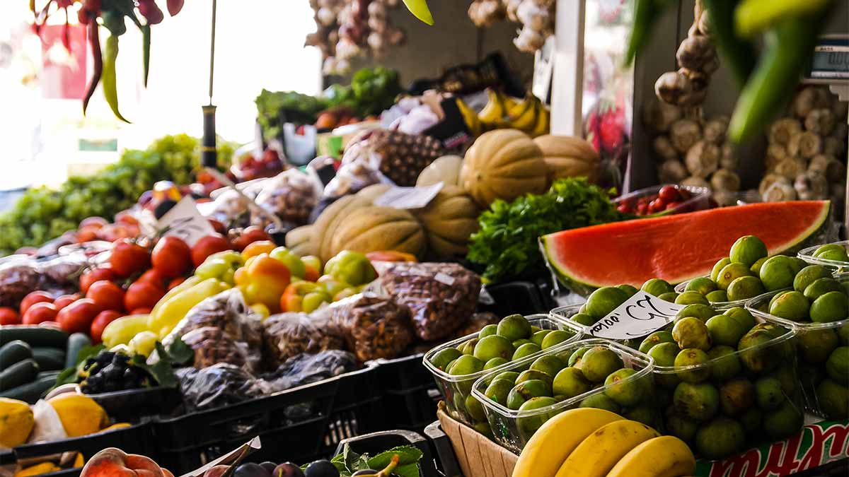 Olivia Touzet Fruits, Légumes & Plantes aromatiques médicinales