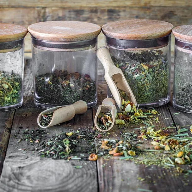 Les plantes médicinales et leurs bienfaits