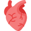 Traitement naturel contre l’hypertension