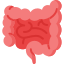 Traitement naturel du syndrome de l’intestin irritable