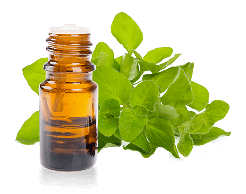 perte poids naturopathie phytotherapie Arles